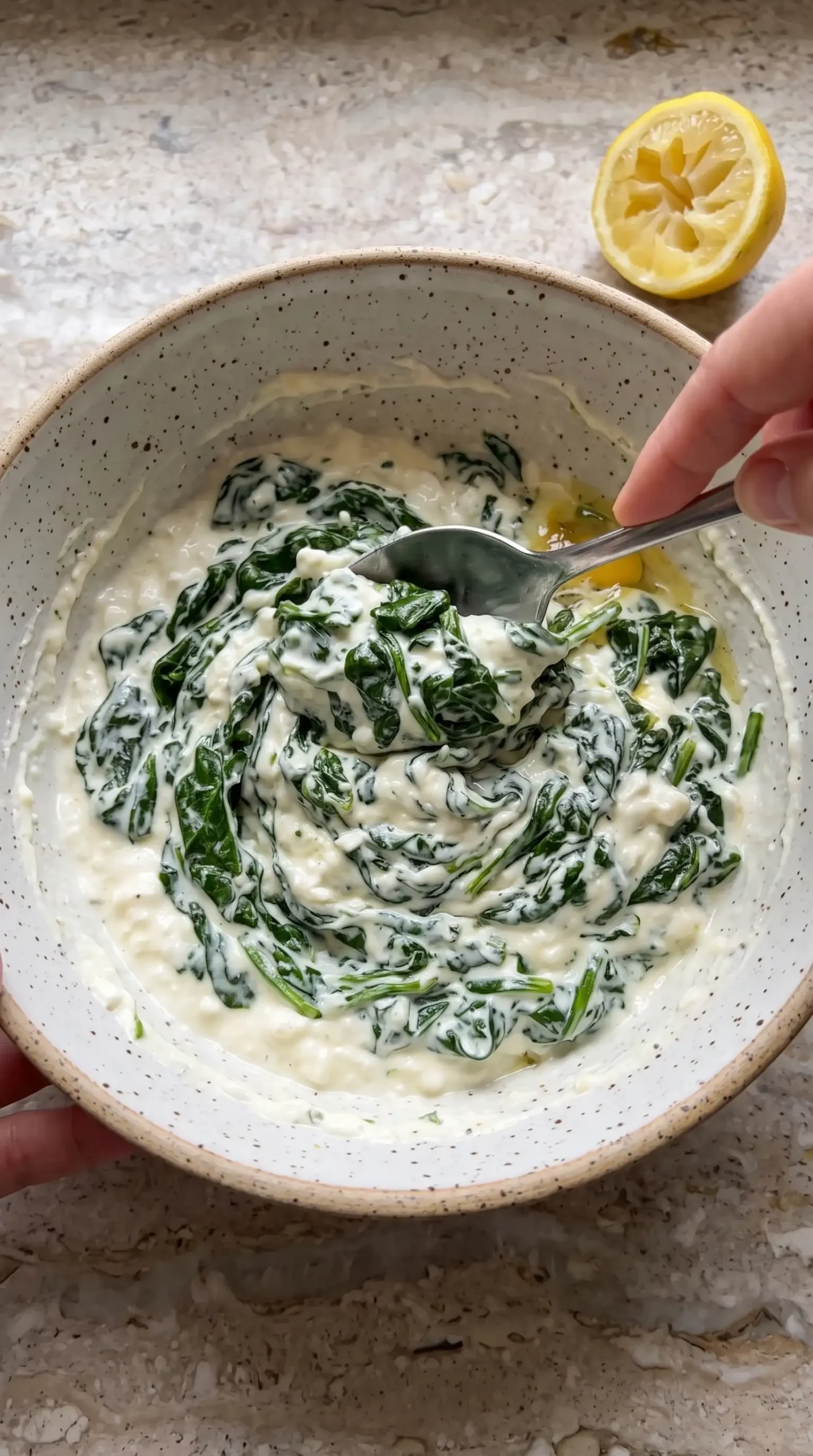 Creamy spinach cottage cheese filling prepared for lasagna florentine